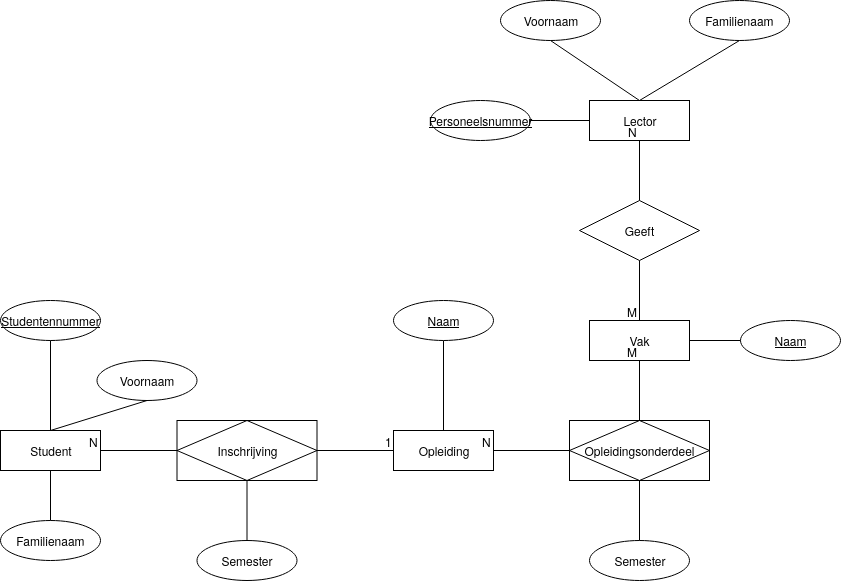 diagram hogeschool